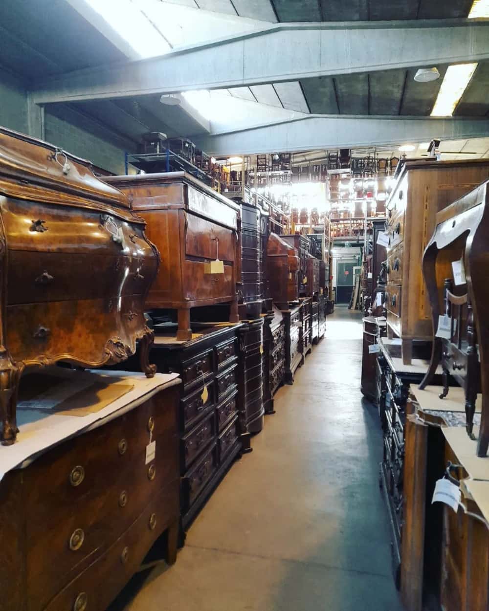 dimanoinmano_284675196_804775743824502_2554260767606031623_n (2)